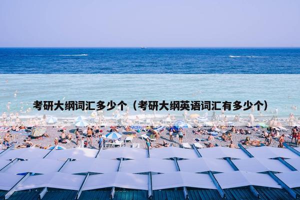 考研大纲词汇多少个（考研大纲英语词汇有多少个）