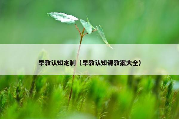 早教认知定制（早教认知课教案大全）