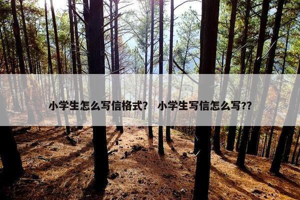 小学生怎么写信格式？ 小学生写信怎么写?？