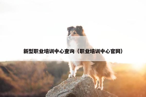 新型职业培训中心查询（职业培训中心官网）