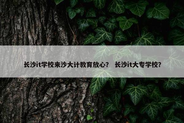 长沙it学校来沙大计教育放心？ 长沙it大专学校？