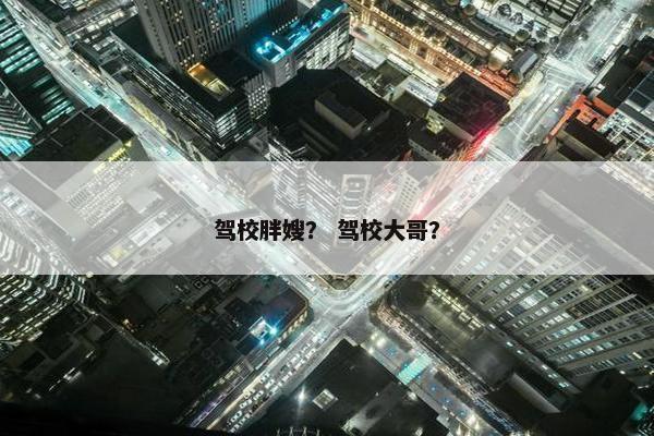 驾校胖嫂？ 驾校大哥？