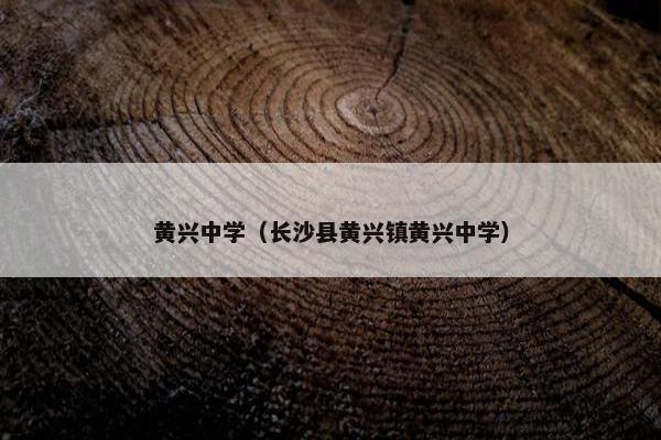 黄兴中学（长沙县黄兴镇黄兴中学）