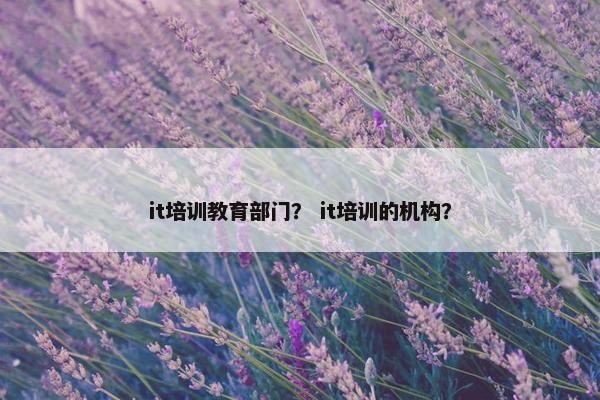 it培训教育部门？ it培训的机构？