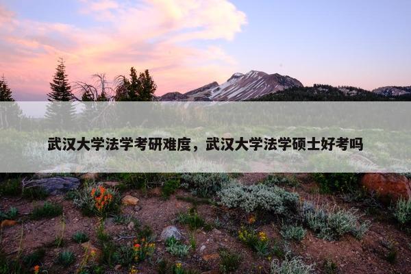 武汉大学法学考研难度，武汉大学法学硕士好考吗