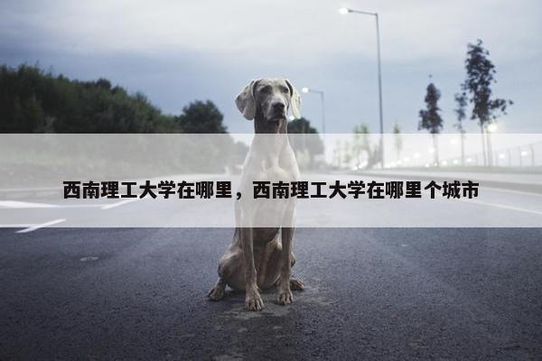西南理工大学在哪里，西南理工大学在哪里个城市
