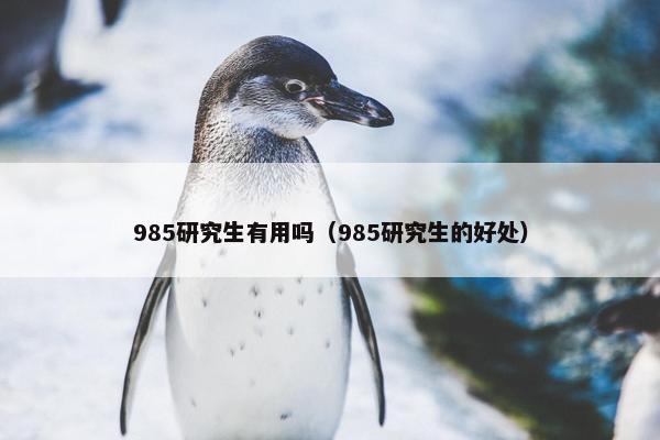 985研究生有用吗（985研究生的好处）