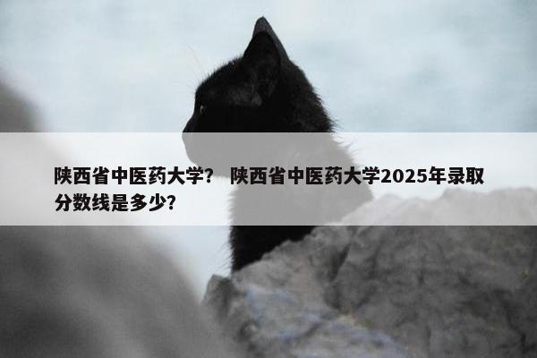 陕西省中医药大学？ 陕西省中医药大学2025年录取分数线是多少？