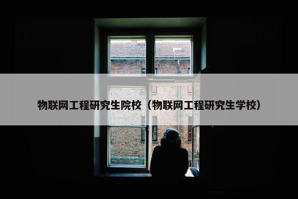 物联网工程研究生院校（物联网工程研究生学校）