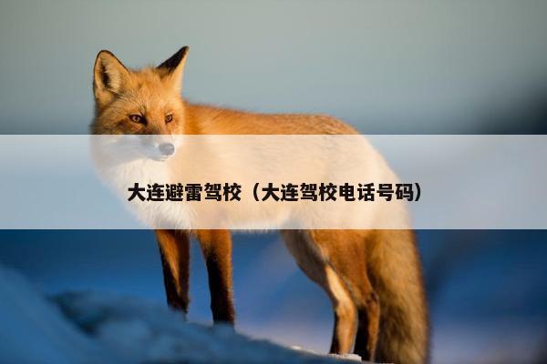 大连避雷驾校（大连驾校电话号码）