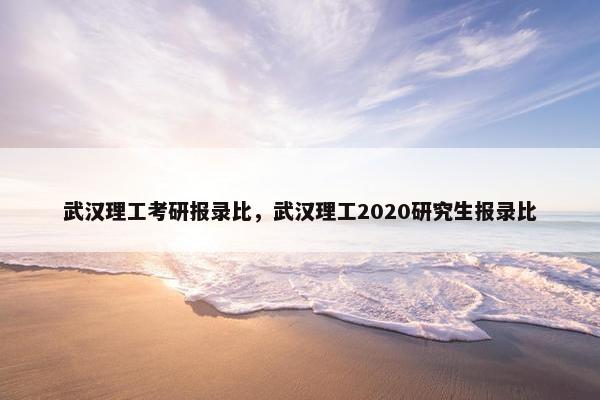 武汉理工考研报录比，武汉理工2020研究生报录比