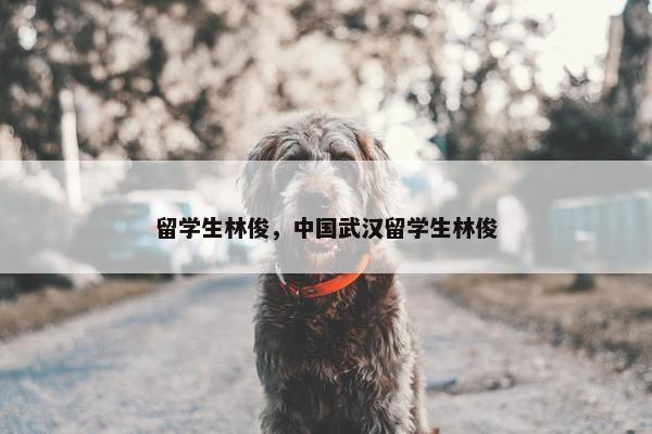 留学生林俊，中国武汉留学生林俊
