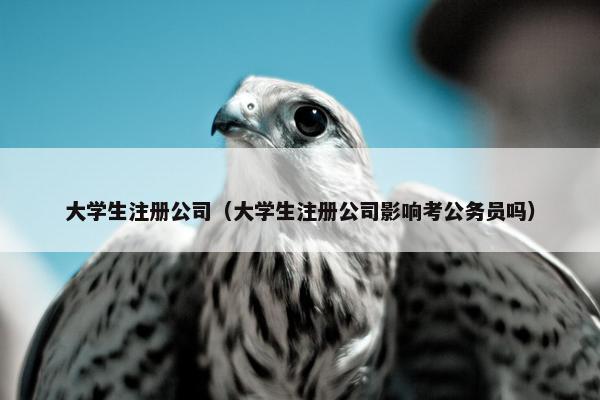 大学生注册公司（大学生注册公司影响考公务员吗）
