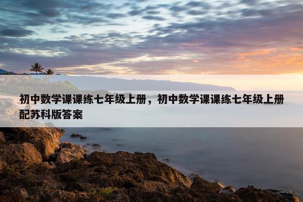 初中数学课课练七年级上册，初中数学课课练七年级上册配苏科版答案