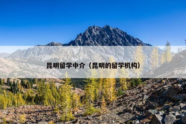 昆明留学中介（昆明的留学机构）