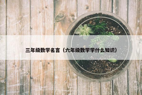 三年级数学名言（六年级数学学什么知识）