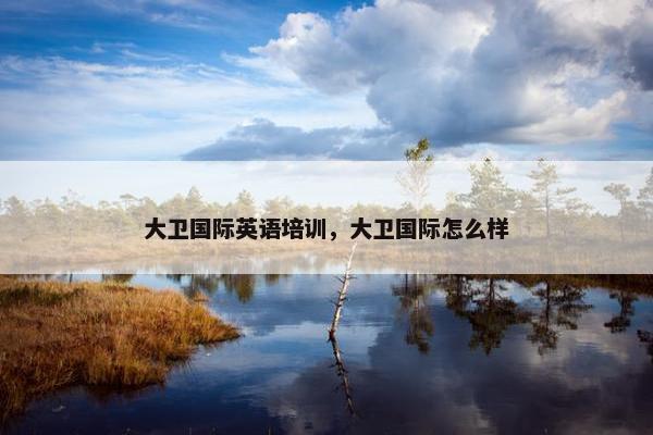 大卫国际英语培训，大卫国际怎么样