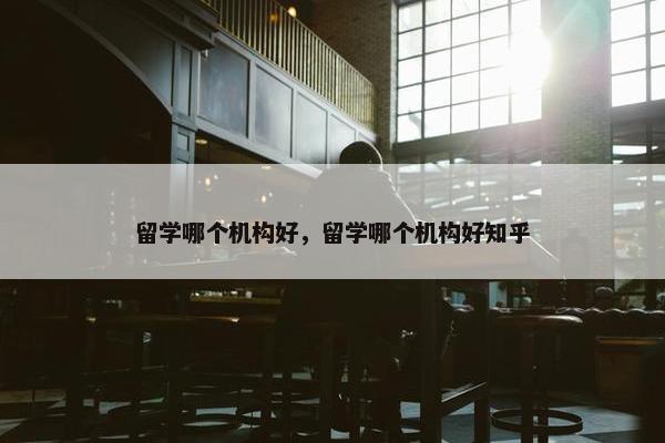 留学哪个机构好，留学哪个机构好知乎