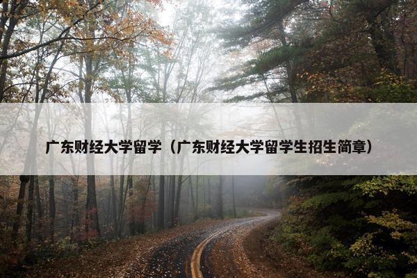 广东财经大学留学（广东财经大学留学生招生简章）