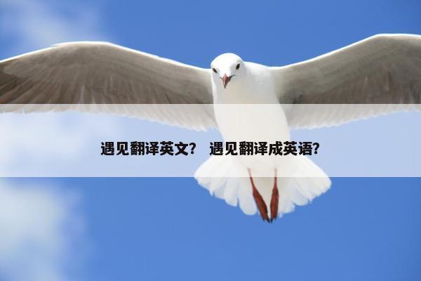 遇见翻译英文？ 遇见翻译成英语？