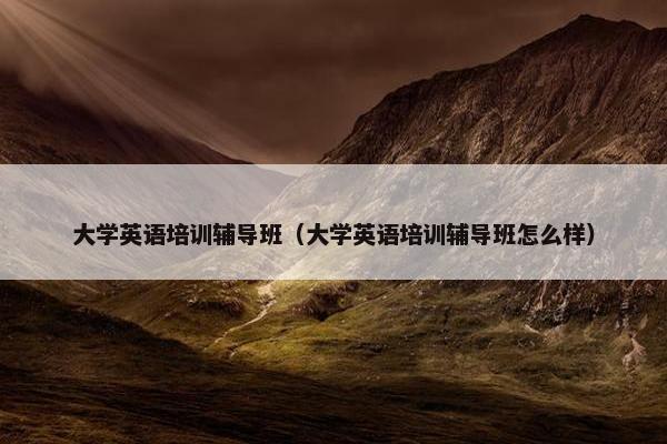 大学英语培训辅导班（大学英语培训辅导班怎么样）
