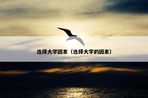 选择大学因素（选择大学的因素）