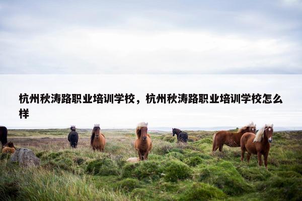 杭州秋涛路职业培训学校，杭州秋涛路职业培训学校怎么样