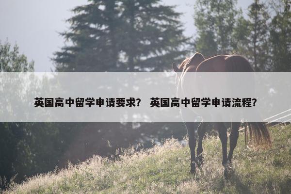 英国高中留学申请要求？ 英国高中留学申请流程？