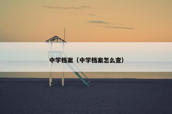 中学档案（中学档案怎么查）