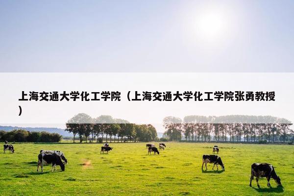 上海交通大学化工学院（上海交通大学化工学院张勇教授）