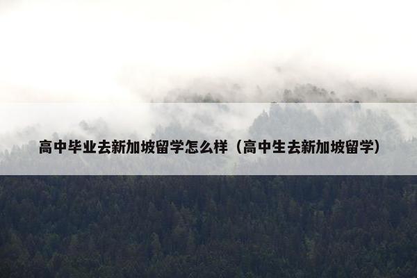 高中毕业去新加坡留学怎么样（高中生去新加坡留学）