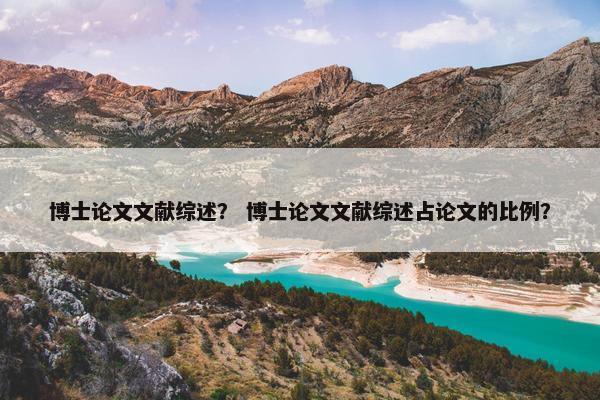 博士论文文献综述？ 博士论文文献综述占论文的比例？