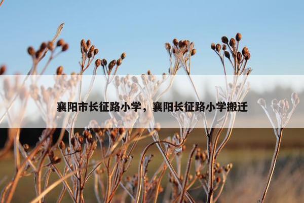 襄阳市长征路小学，襄阳长征路小学搬迁