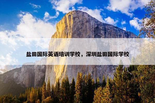 盐田国际英语培训学校，深圳盐田国际学校