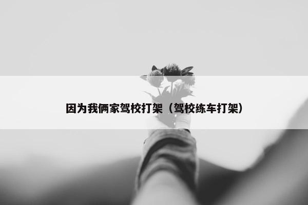 因为我俩家驾校打架（驾校练车打架）