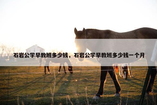 石岩公学早教班多少钱，石岩公学早教班多少钱一个月