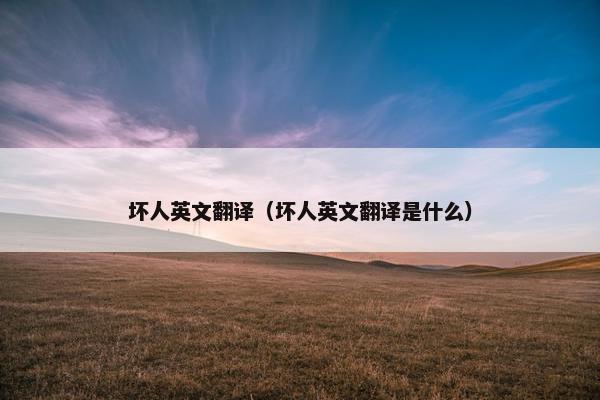 坏人英文翻译（坏人英文翻译是什么）