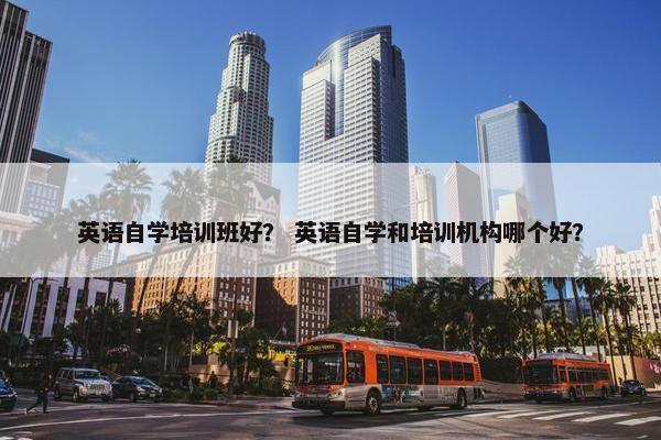 英语自学培训班好？ 英语自学和培训机构哪个好？