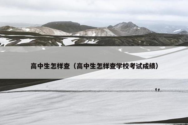 高中生怎样查（高中生怎样查学校考试成绩）