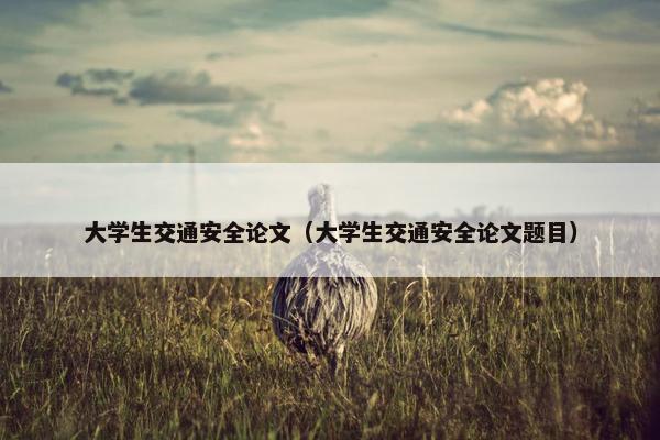 大学生交通安全论文（大学生交通安全论文题目）