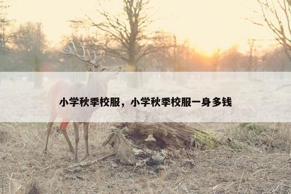 小学秋季校服，小学秋季校服一身多钱
