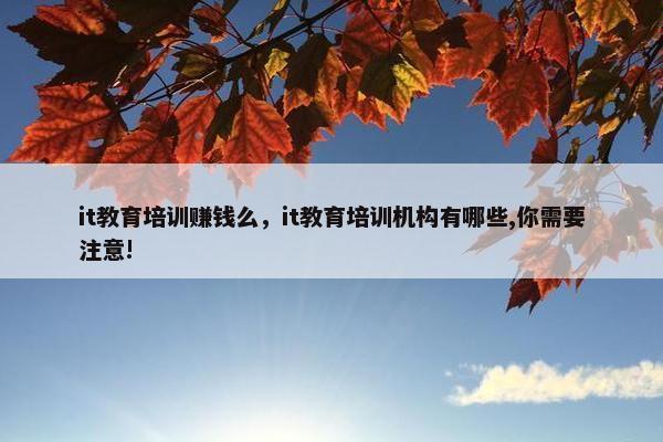 it教育培训赚钱么，it教育培训机构有哪些,你需要注意!