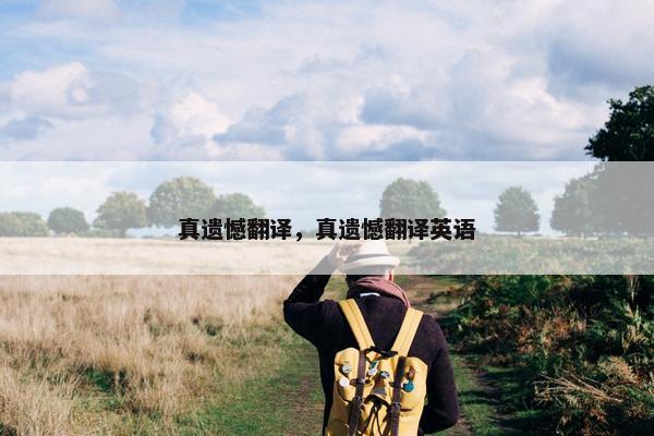 真遗憾翻译，真遗憾翻译英语