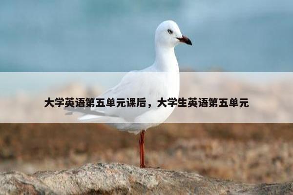 大学英语第五单元课后，大学生英语第五单元