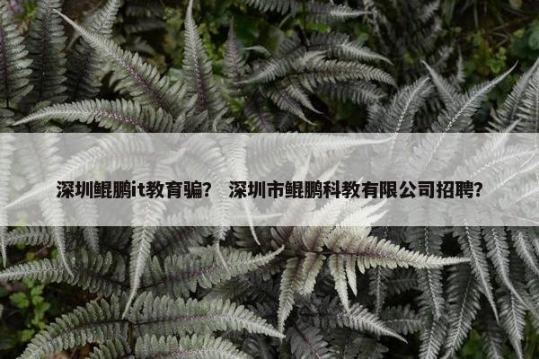 深圳鲲鹏it教育骗？ 深圳市鲲鹏科教有限公司招聘？