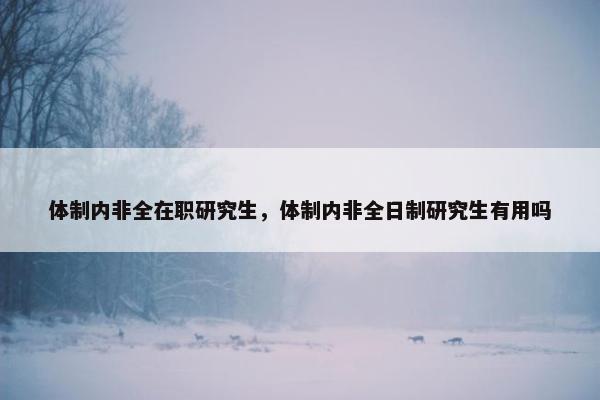 体制内非全在职研究生，体制内非全日制研究生有用吗