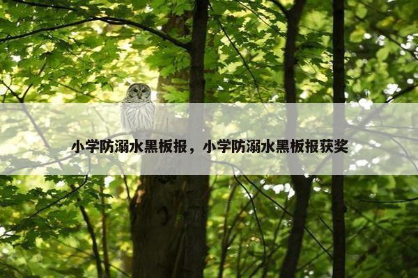 小学防溺水黑板报，小学防溺水黑板报获奖