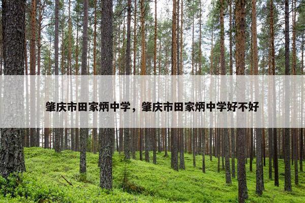 肇庆市田家炳中学，肇庆市田家炳中学好不好