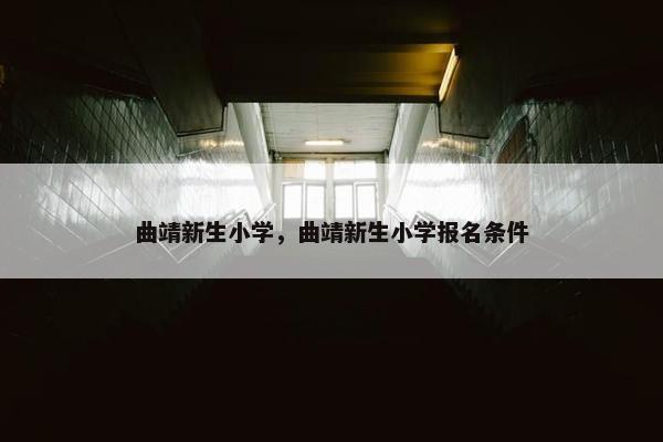 曲靖新生小学，曲靖新生小学报名条件