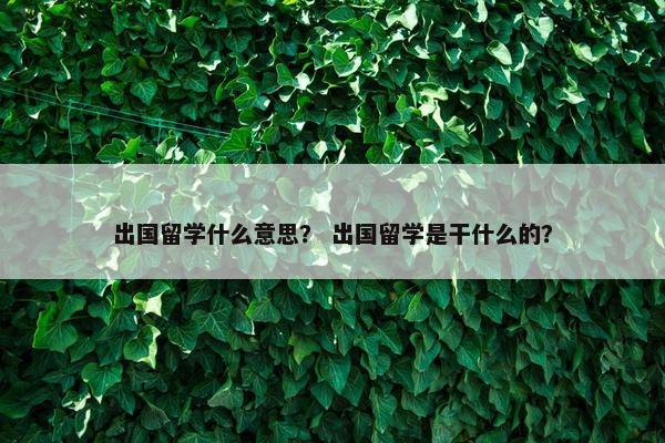 出国留学什么意思？ 出国留学是干什么的？